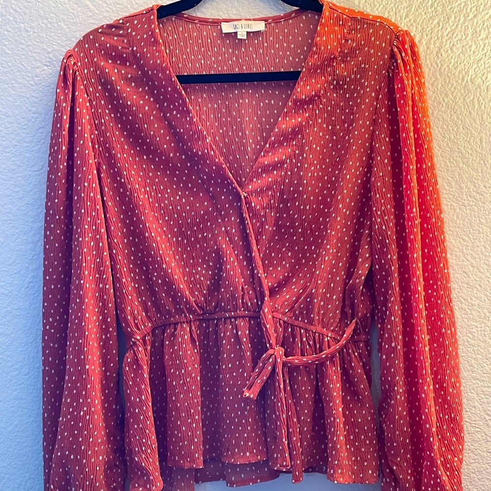 Long Sleeve, Plunging V neck Top